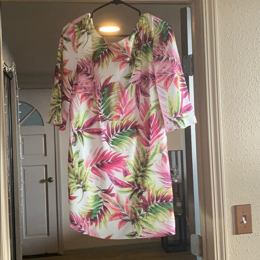 Ark &co dress